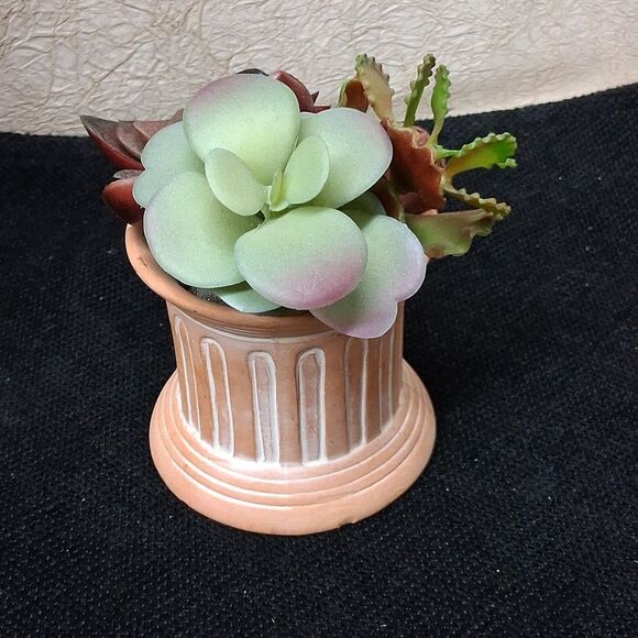 Decorative Succulent Planters with Colorful Leaves - Picture 7 of 9